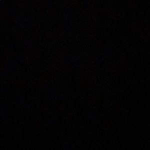 Meet your Posher, Carter